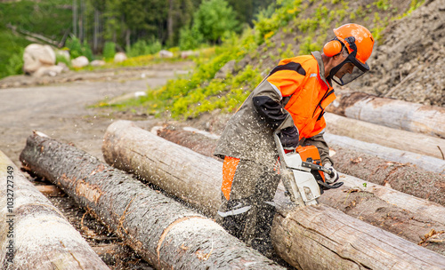 Lumberjack logger worker in protective gear cutting firewood timber tree in forest with chainsaw. Male tree surgeon sawing tree trunk using chainsaw in forest. Arborist cutting a tree a chainsaw photo