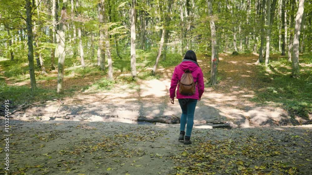 Girl in a pink jacket, jeans, and a brown backpack walking through an autumn forest, back view, slow motion, capturing seasonal colors Girl in a pink jacket, jeans, and a brown backpack walking through an autumn forest, back view, slow motion, capturing seasonal colors