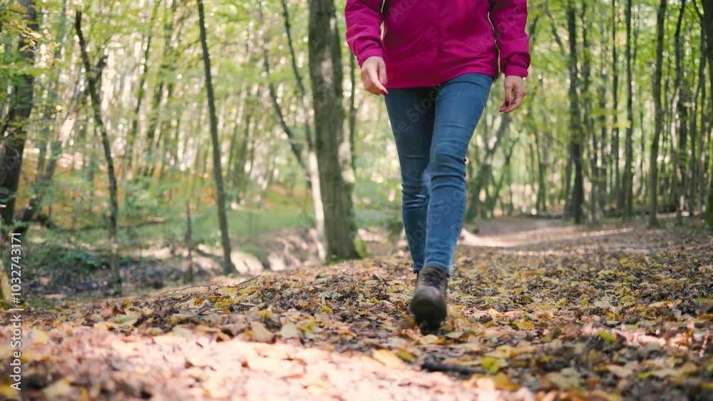 Female legs in jeans and trekking boots walking through an autumn forest, low-angle front view, slow motion Female legs in jeans and trekking boots walking through an autumn forest, low-angle front view, slow motion