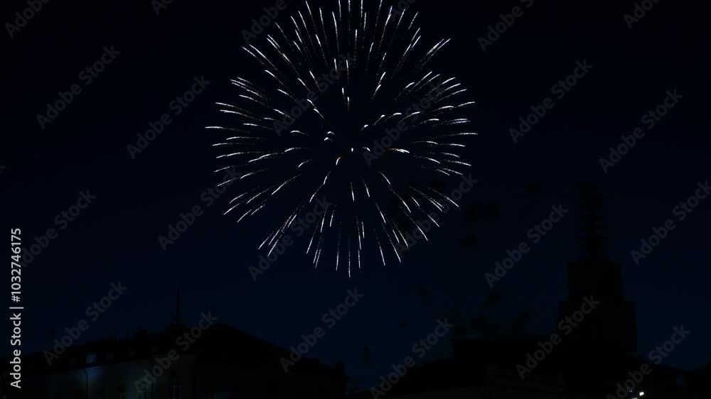 Multi-colored bright fireworks sparks of silver blue and purple color on the dark sky over the city.copy place