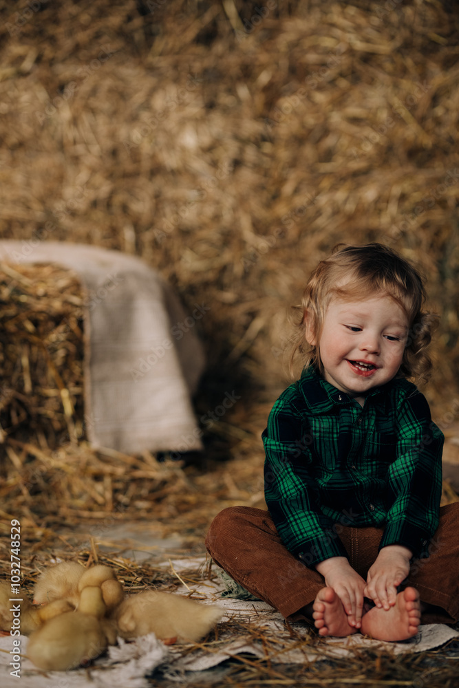 A little blond boy is sitting in the hay with ducks A little blond boy is sitting in the hay with ducks