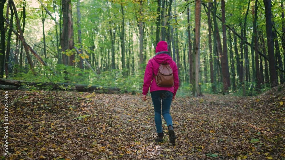 Attractive young woman in a pink jacket, jeans, and a brown backpack walking through an autumn forest, back view, slow motion, capturing seasonal colors Attractive young woman in a pink jacket, jeans, and a brown backpack walking through an autumn forest, back view, slow motion, capturing seasonal colors