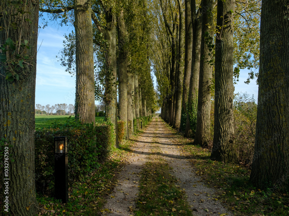Fototapeta premium De Hulshof , Bronkhorst, Gelderland province, The Netherlands