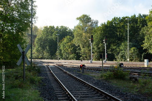 Zwei Bahngleise laufen aufeinander zu und führen durch eine Schneise im Wald. photo