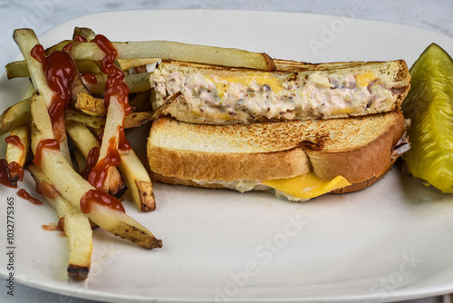 tuna melt sandwich    served with homade french fries photo