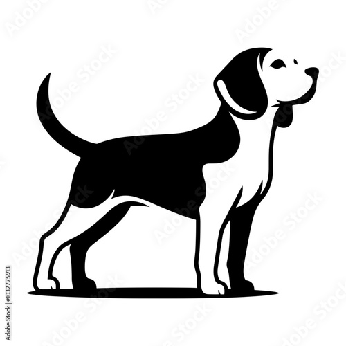 Standing Beagle