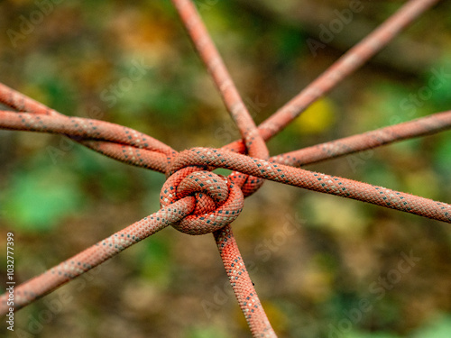 Knoten im Seil photo