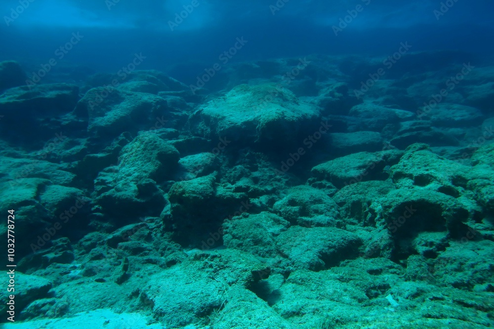 custom made wallpaper toronto digitalSeabed close to the shore, rocks and seascape in the dark blue water. Undersea empty landscape, adventure scuba diving trip. Seabed with stones, underwater photography from scuba diving.