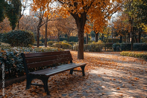 A Wooden Bench in a Park with Scattered Autumn Leaves