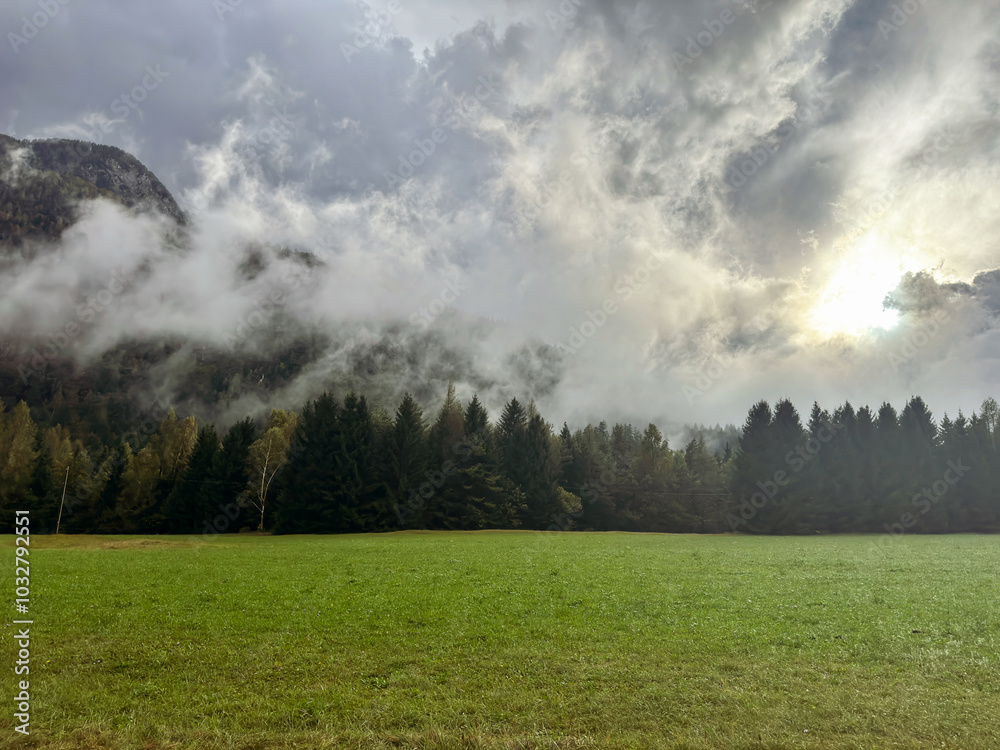 mountain valley. foggy forest. perfect grass. farmland. nature background. 