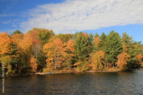 Fall landscape with lake and colorful trees