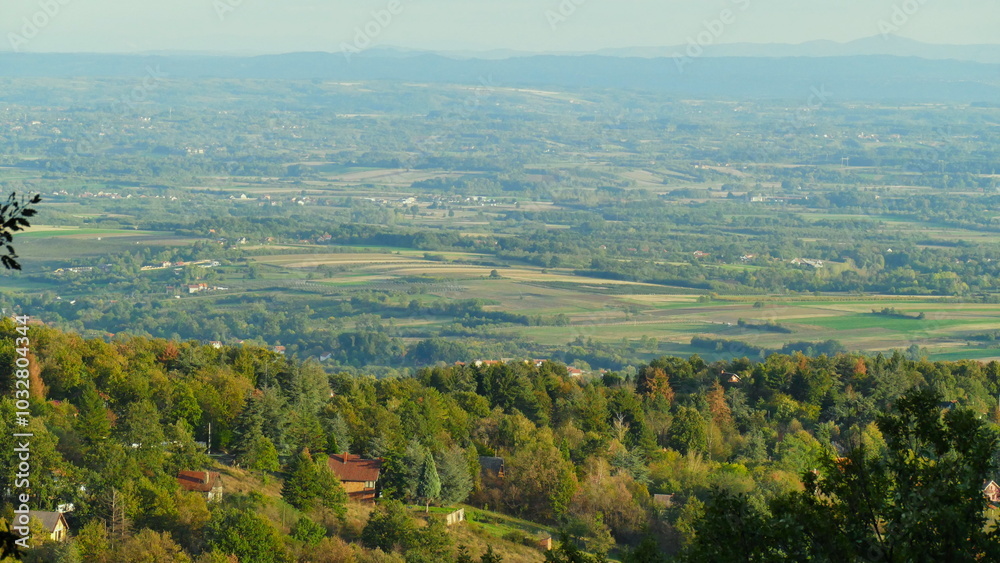 Fototapeta premium landscape with trees and mountains