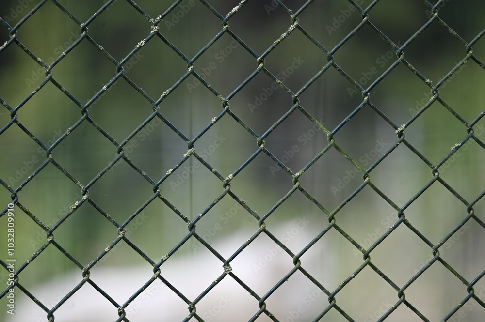 Fototapeta premium Détail d'une grille 