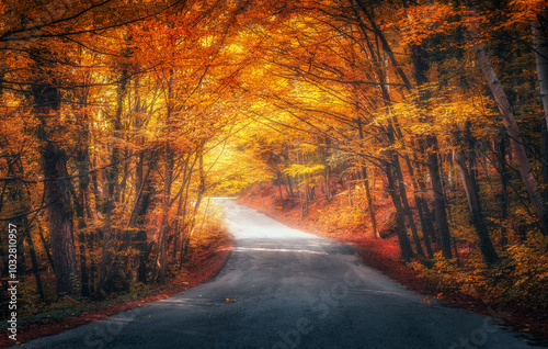 Road in fairy autumn forest...