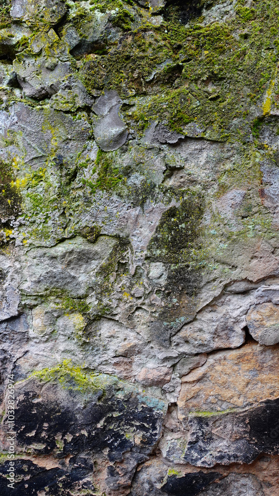 Textured Stone Wall Covered in Moss and Lichen in a Natural Setting Textured Stone Wall Covered in Moss and Lichen in a Natural Setting