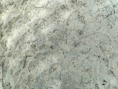 sand texture close up, a seen from a beach in Pantai Kempadang, Kuantan Pahang, Malaysia photo