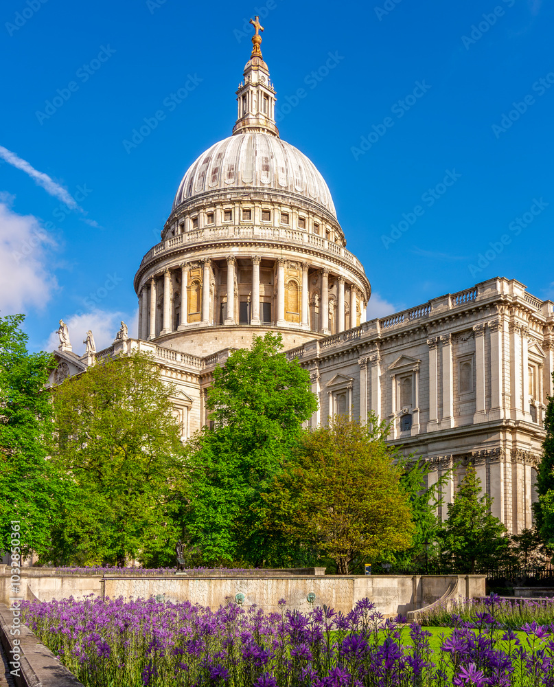 Obraz premium St. Paul's cathedral in spring, London, UK