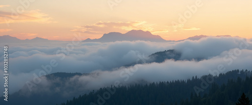 Fog Rolling Over Forested Mountain Range in a Cloudy Landscape.