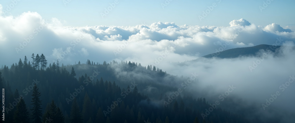 Fog Rolling Over Forested Mountain Range in a Cloudy Landscape. Fog Rolling Over Forested Mountain Range in a Cloudy Landscape.