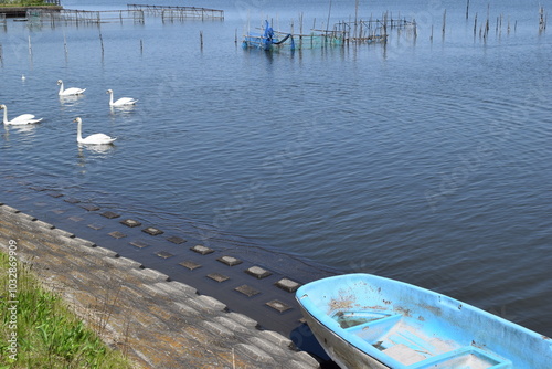 牛久沼（うしくぬま）／ 茨城県の牛久沼は小規模な漁業のほか、その水は主に農業用水として活用されています。また、週末などは多くの釣り人たちで賑わっています。沼に近い牛久市と同じ名前ですが、全域が龍ケ崎市の区域内です。