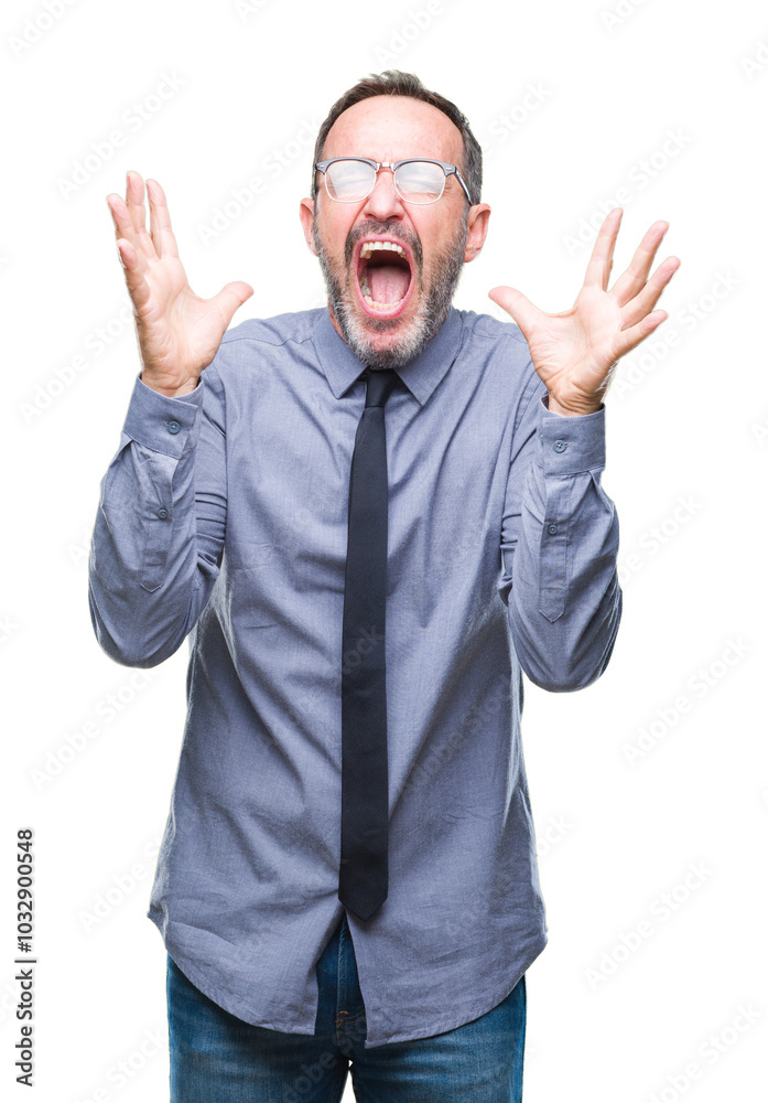 Middle age hoary senior business man wearing glasses over isolated background celebrating mad and crazy for success with arms raised and closed eyes screaming excited. Winner concept Middle age hoary senior business man wearing glasses over isolated background celebrating mad and crazy for success with arms raised and closed eyes screaming excited. Winner concept