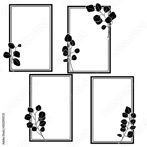 eucalyptus frame isolate on white background