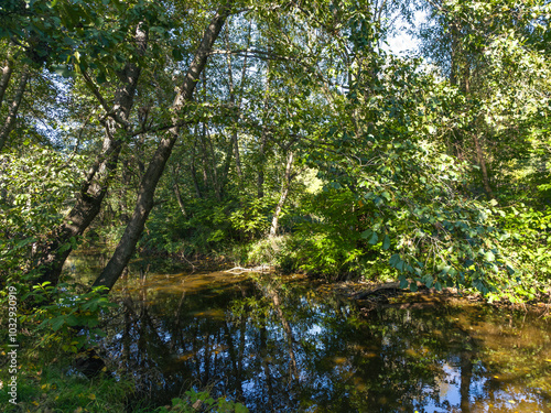 Landscape of Iskar river near Pancharevo lake, Bulgaria