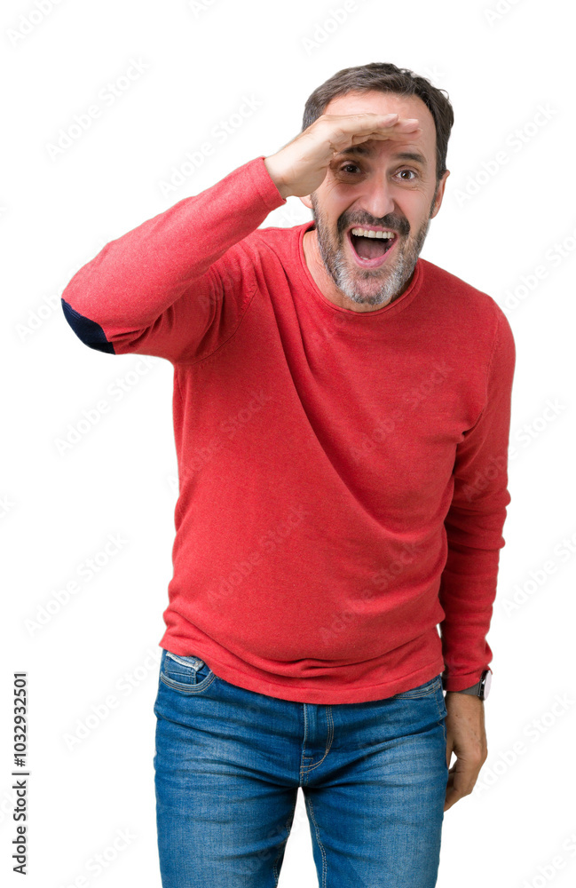Handsome middle age hoary senior man wearing winter sweater over isolated background very happy and smiling looking far away with hand over head. Searching concept. Handsome middle age hoary senior man wearing winter sweater over isolated background very happy and smiling looking far away with hand over head. Searching concept.