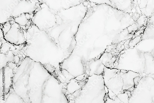 A white marble wall with black lines