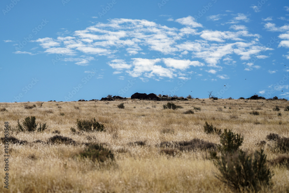 Arid dry Nevada Mountain Landscape with a few clouds and some Chukar birds flying against a blue sky. Arid dry Nevada Mountain Landscape with a few clouds and some Chukar birds flying against a blue sky.