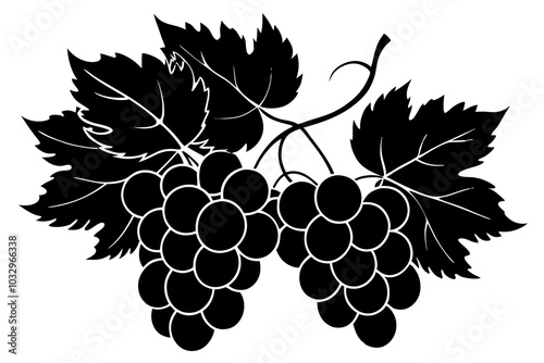 Black silhouette of grapes Vector illustration of black silhouette of bunch of grapes with leaves  photo