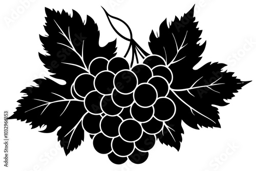 Black silhouette of grapes Vector illustration of black silhouette of bunch of grapes with leaves  photo