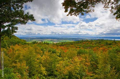Top View of Trees and Valley From Gatineau Park Lookout during Fall Season in Canada
