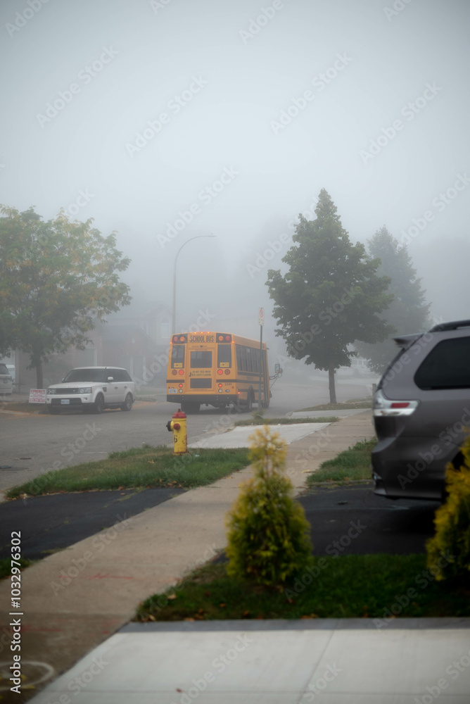 Obraz premium school bus in the foggy street