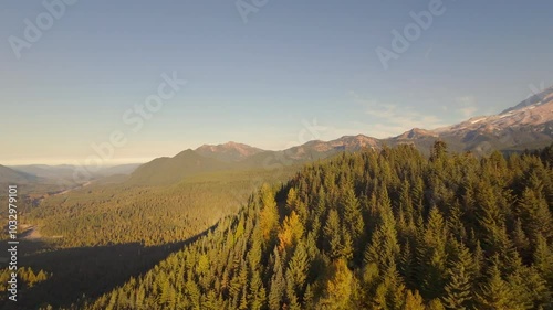 Aerial View of Mount Rainier and Evergreen Forest at Sunrise, Washington State
