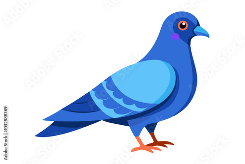 Cute blue rock pigeon side view picture vector art illustration 