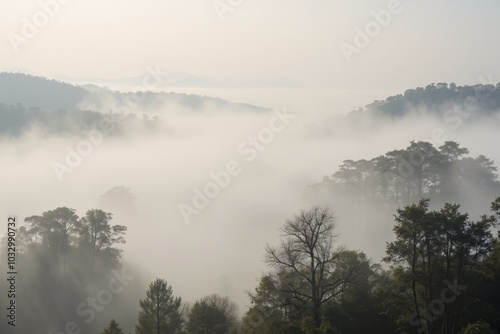 a foggy morning with a mountain in the background.