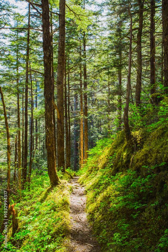 Obraz premium Spring Hiking in Juneau, Alaska