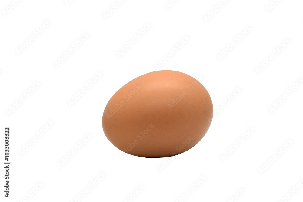 a chicken egg from a laying hen a chicken egg from a laying hen