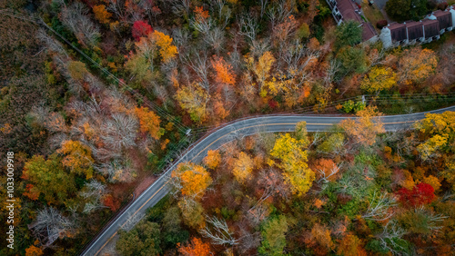 Curvy road in the fall foliage forest in Pennsylvania. 