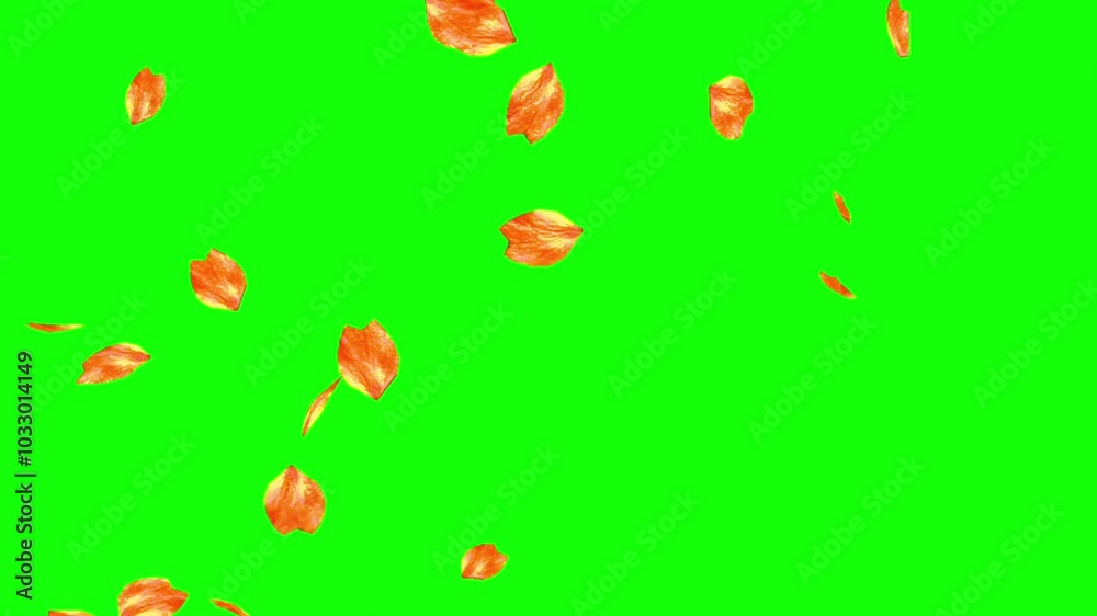 falling petal green screen falling petal green screen