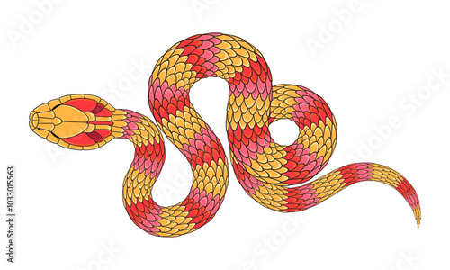 A simple cartoon snake illustration