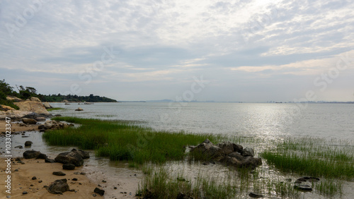 Kinmen Coastal Wetland Scenery