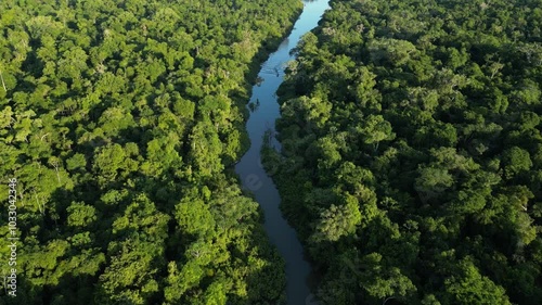 Aerial view of the Amazon rivers of the Peruvian jungle, a drone view of the Amazon rainforest surrounded by water