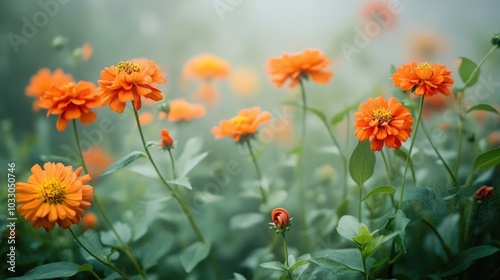 Vibrant Orange Flowers in Soft Focus Background