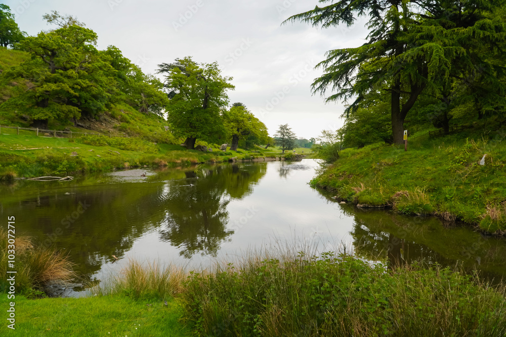 Fototapeta premium The countryside on Bradgate Park in the United Kingdom
