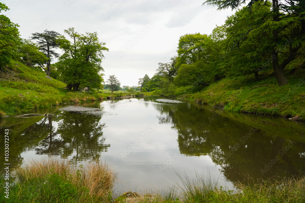 The countryside on Bradgate Park in the United Kingdom The countryside on Bradgate Park in the United Kingdom