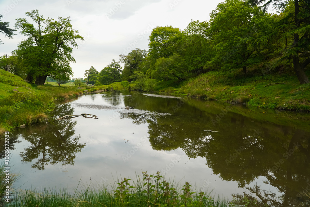 The countryside on Bradgate Park in the United Kingdom The countryside on Bradgate Park in the United Kingdom