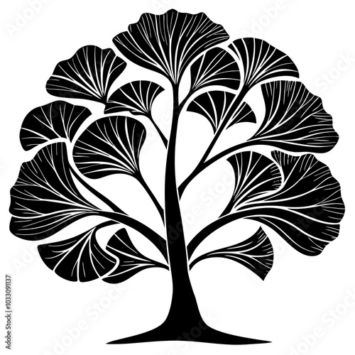 Ginkgo tree silhouette 
 on white background