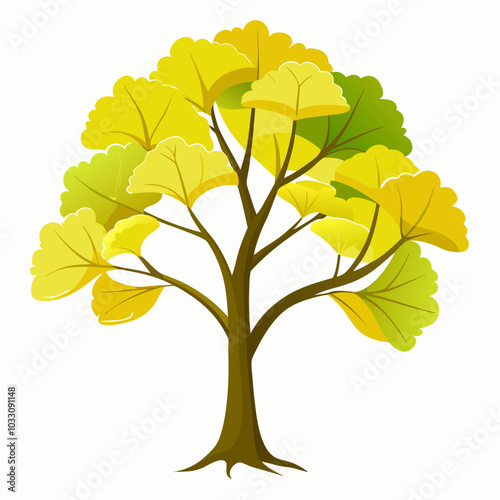 Ginkgo tree on white background